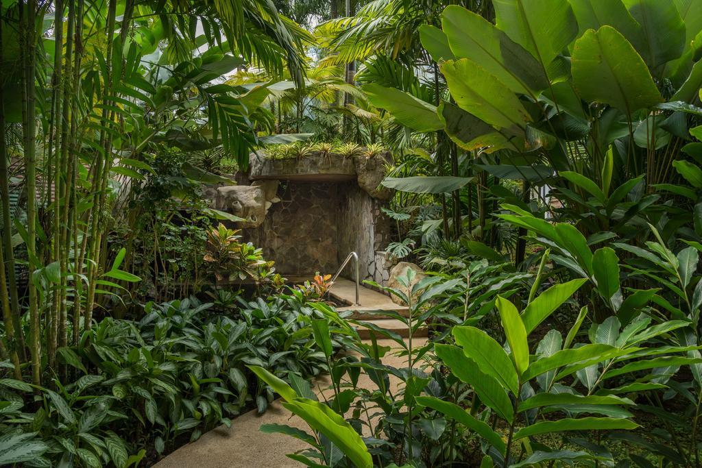The Royal Corin Thermal Water Spa & Resort - Adults Only La Fortuna Zewnętrze zdjęcie